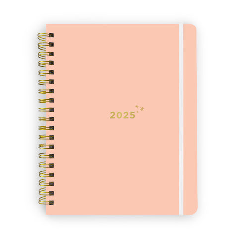 12-month 2025 reverie planner